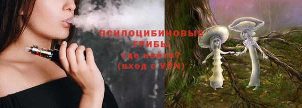 шишки Алексеевка