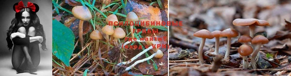 метамфетамин Абаза