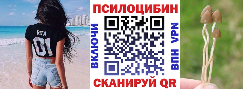 купить  сайты  Архангельск  Псилоцибиновые грибы Psilocybe 