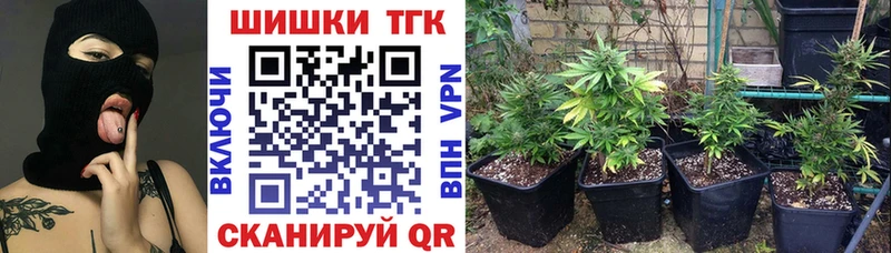 Бошки Шишки THC 21%  наркотики  Архангельск 